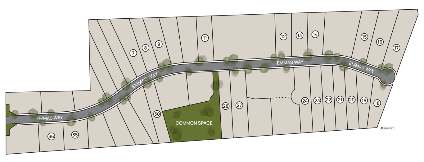Dynamic Map