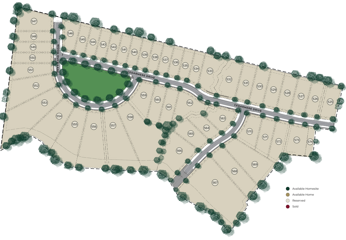 Dynamic Map