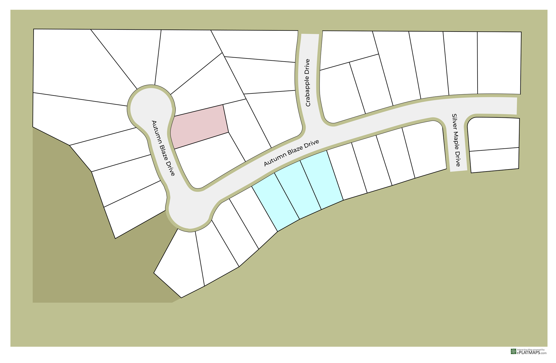 Dynamic Map
