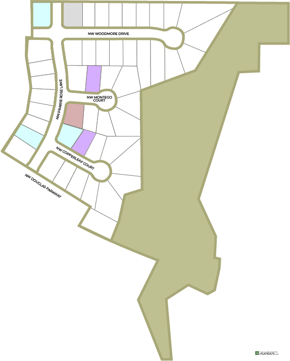 Dynamic Map