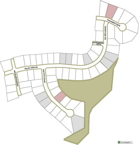 Dynamic Map