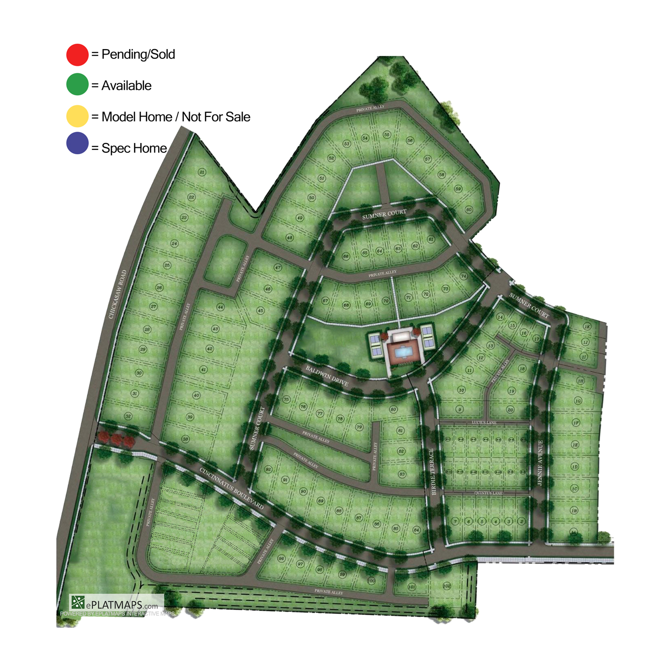 Dynamic Map